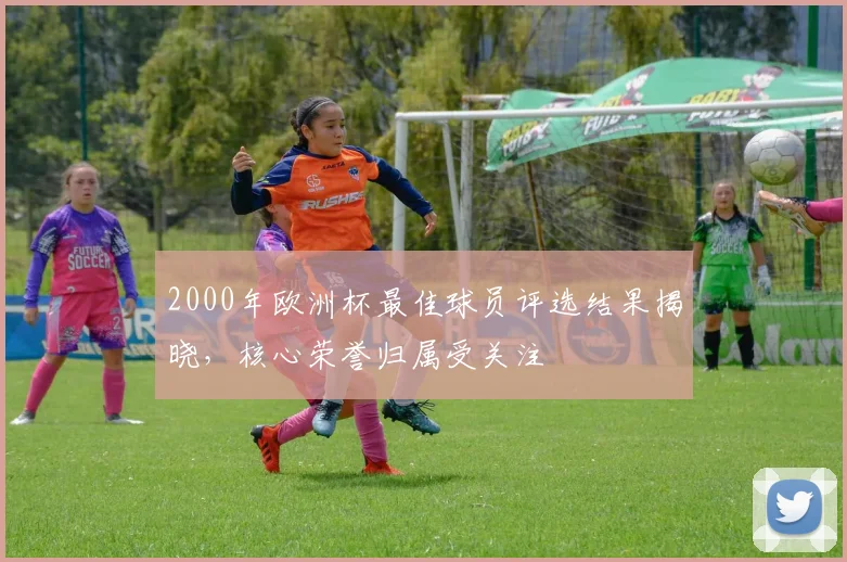 2000年欧洲杯最佳球员评选结果揭晓，核心荣誉归属受关注