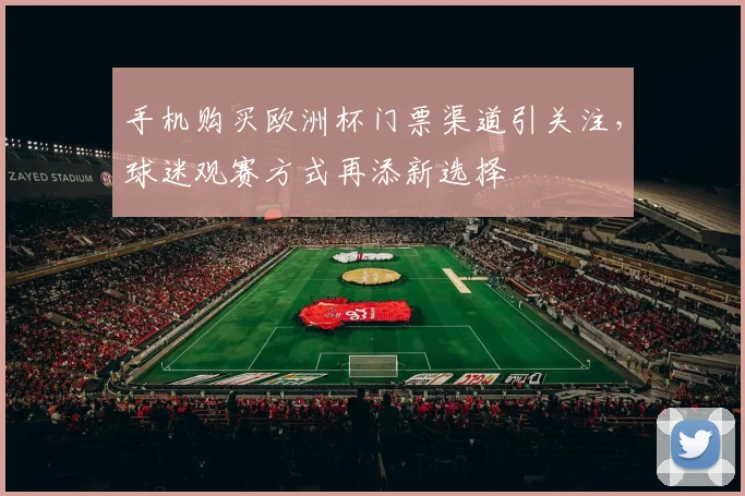 手机购买欧洲杯门票渠道引关注，球迷观赛方式再添新选择