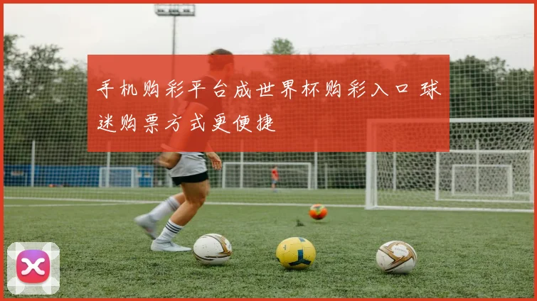 手机购彩平台成世界杯购彩入口 球迷购票方式更便捷