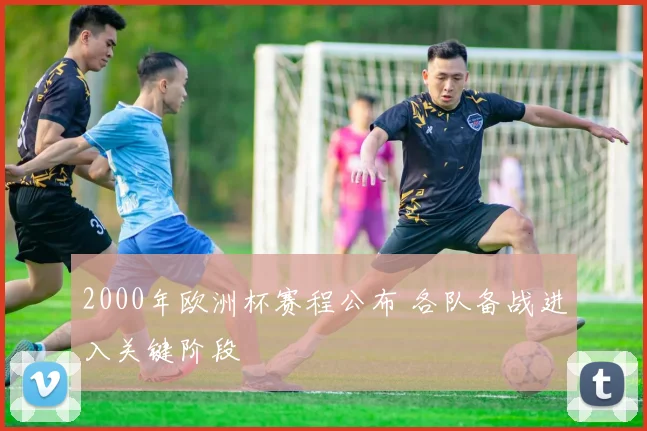 2000年欧洲杯赛程公布 各队备战进入关键阶段