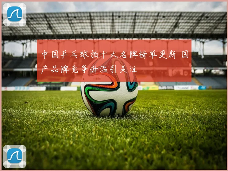 中国乒乓球拍十大名牌榜单更新 国产品牌竞争升温引关注