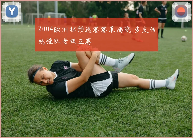 2004欧洲杯预选赛赛果揭晓 多支传统强队晋级正赛