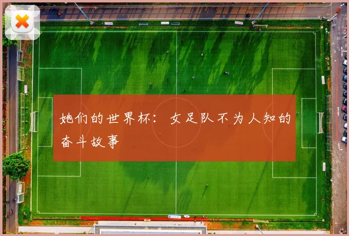 她们的世界杯:女足队不为人知的奋斗故事