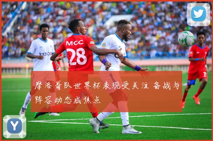 摩洛哥队世界杯表现受关注 备战与阵容动态成焦点