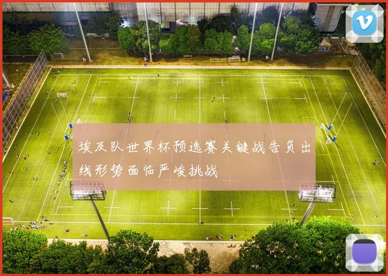埃及队世界杯预选赛关键战告负出线形势面临严峻挑战