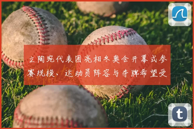 立陶宛代表团亮相冬奥会开幕式参赛规模、运动员阵容与夺牌希望受关注